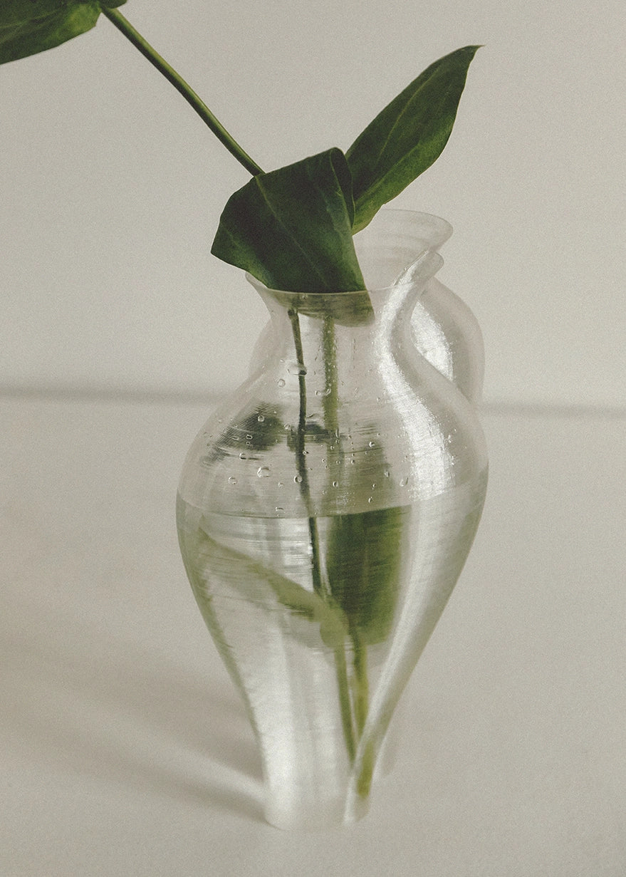 3D printed transparent vase