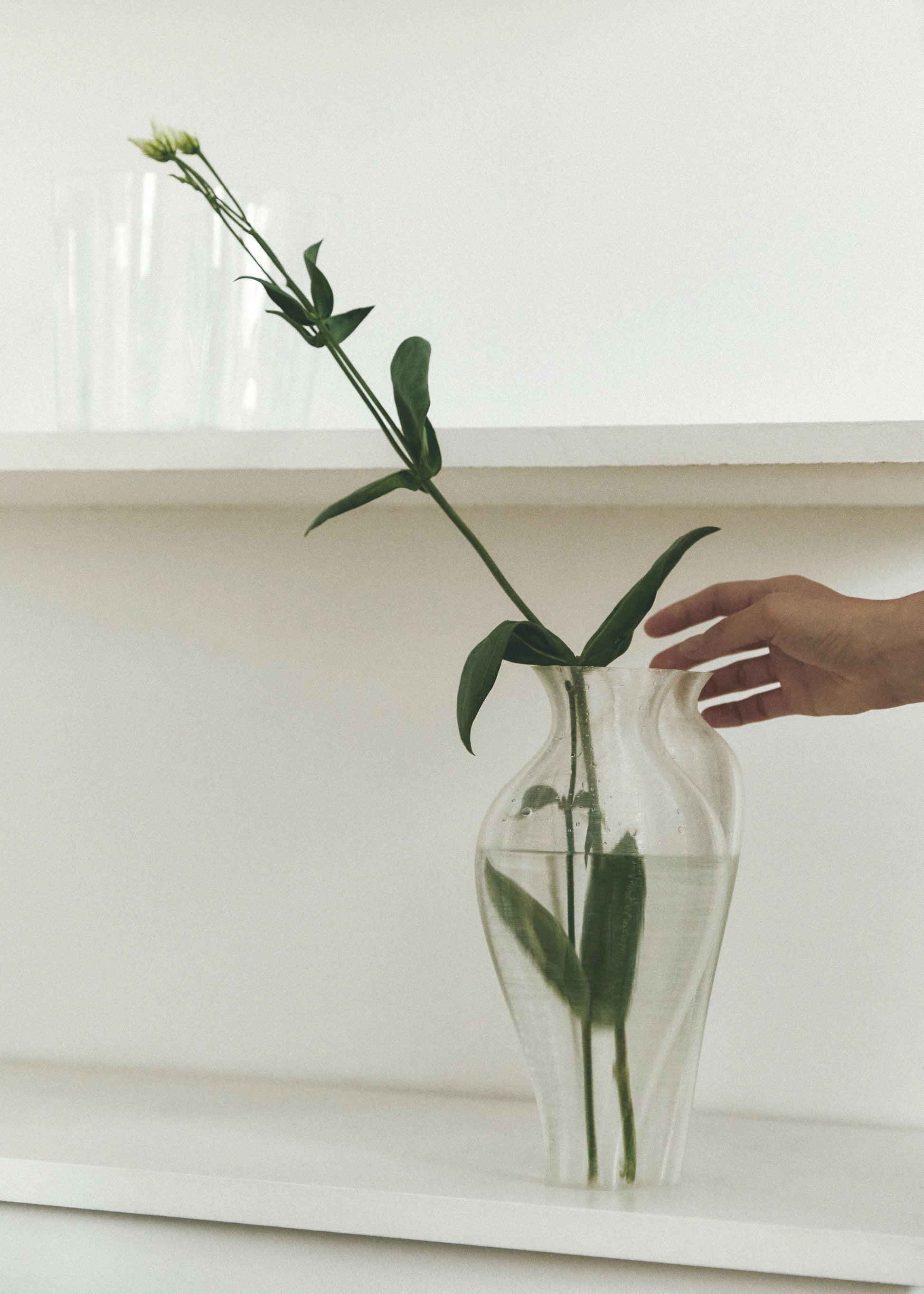 3D printed transparent vase