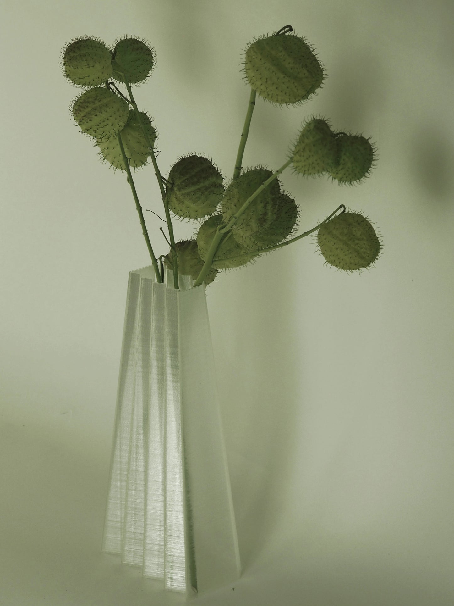 3D printed argot studio