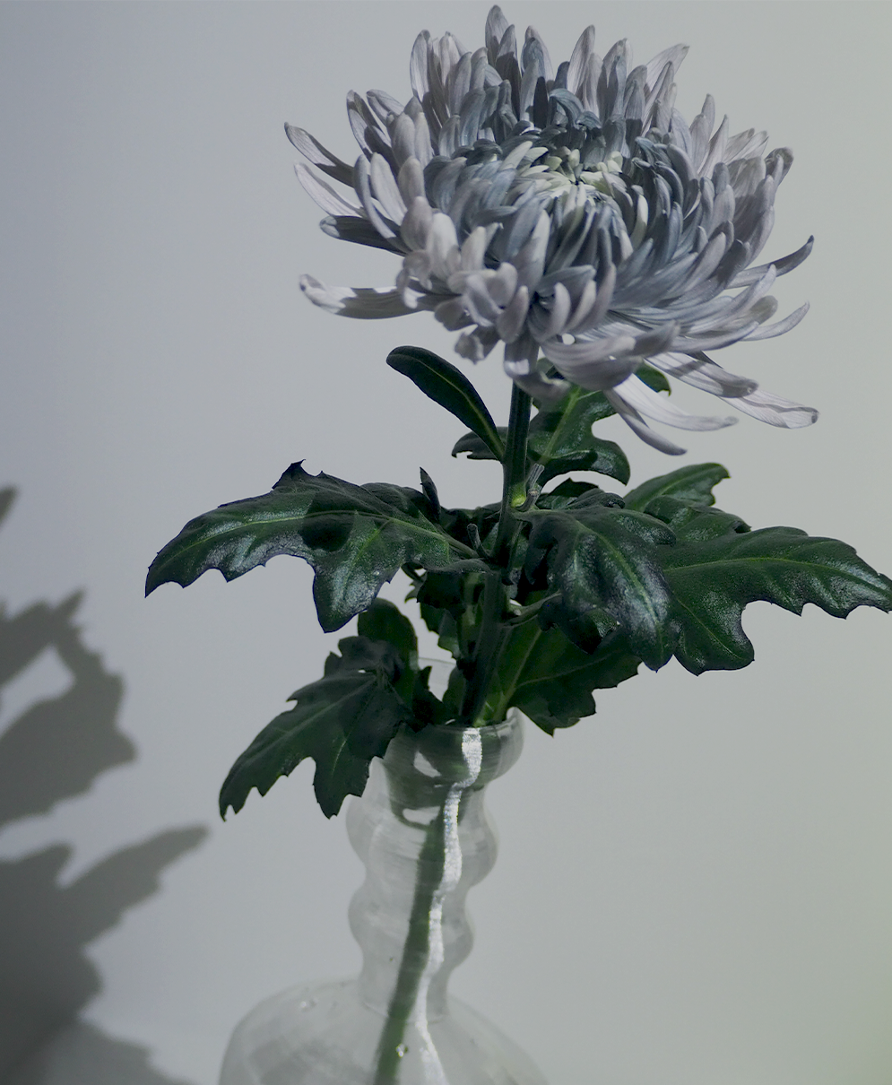 Lily Vase